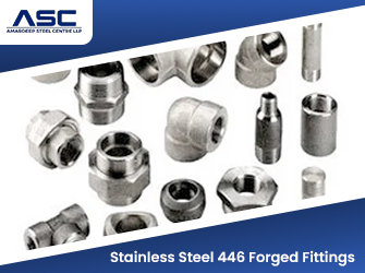 Stainless Steel 446 Forged Fittings